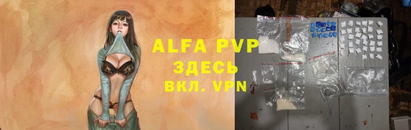 PSILOCYBIN Абаза