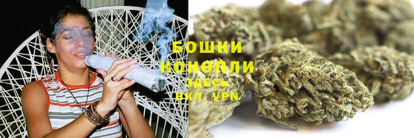 PSILOCYBIN Абаза